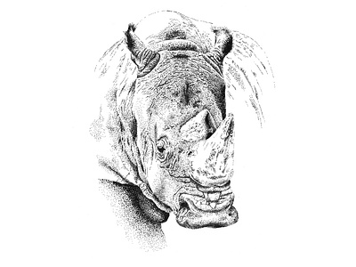 Black Rhino Illustration africa big 5 big five black and white black rhino branding design illustration logo pointillism south africa