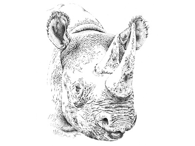 White Rhino Illustration animal big 5 big five black and white branding design illustration logo pointillism south africa white rhino wild