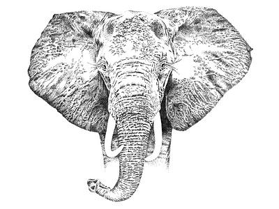 African Elephant africa african african elephant animal big 5 big five black and white design illustration pointillism south africa wild