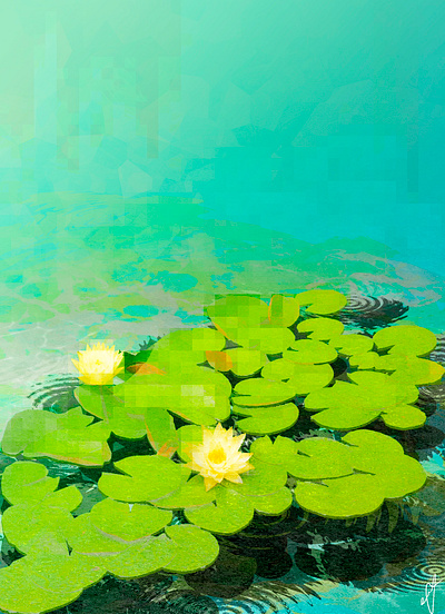 Waterlily design graphic design illustration