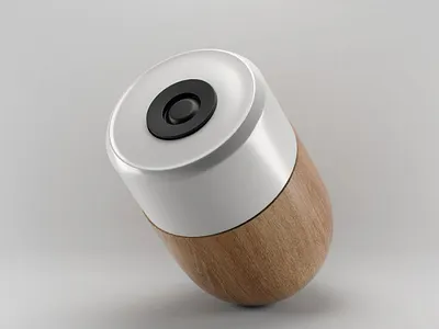 Capsule Speaker