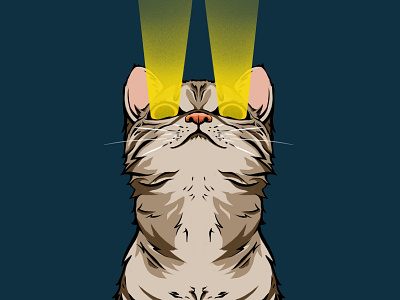 cat glow artwork cat character illustration kitty