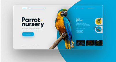 Parrot branding design illustration labels logo ui ux vector