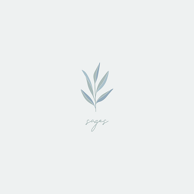 Sage art botanic branding concept design illustration logo minimal organic type typography vector