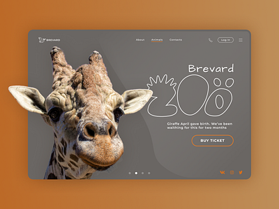 Zoo banner concept design illustration logo typography ui web design web site zoo