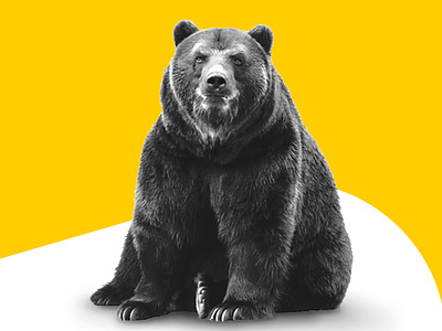Tally bear with us email header app bear campaign currency design digital digital bank email fun funny gold joke money pounds savings tally waiting yellow