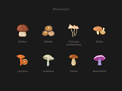 Mushrooms hit of the season boletus figma food health icons lactarius porcini psilocybe semilanceata shiitake suillus toadstool vector vegan wood blewit