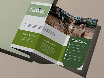 Pet food brochure branding design graphic design mexico vector