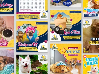 Social Media Posts - PetShop adobe photoshop cat design designer dog facebook graphic design instagram pets petshop post posts social media template