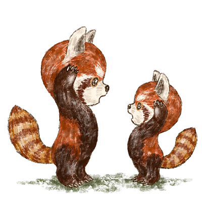 Red pandas facing each other animals character illustration red panda