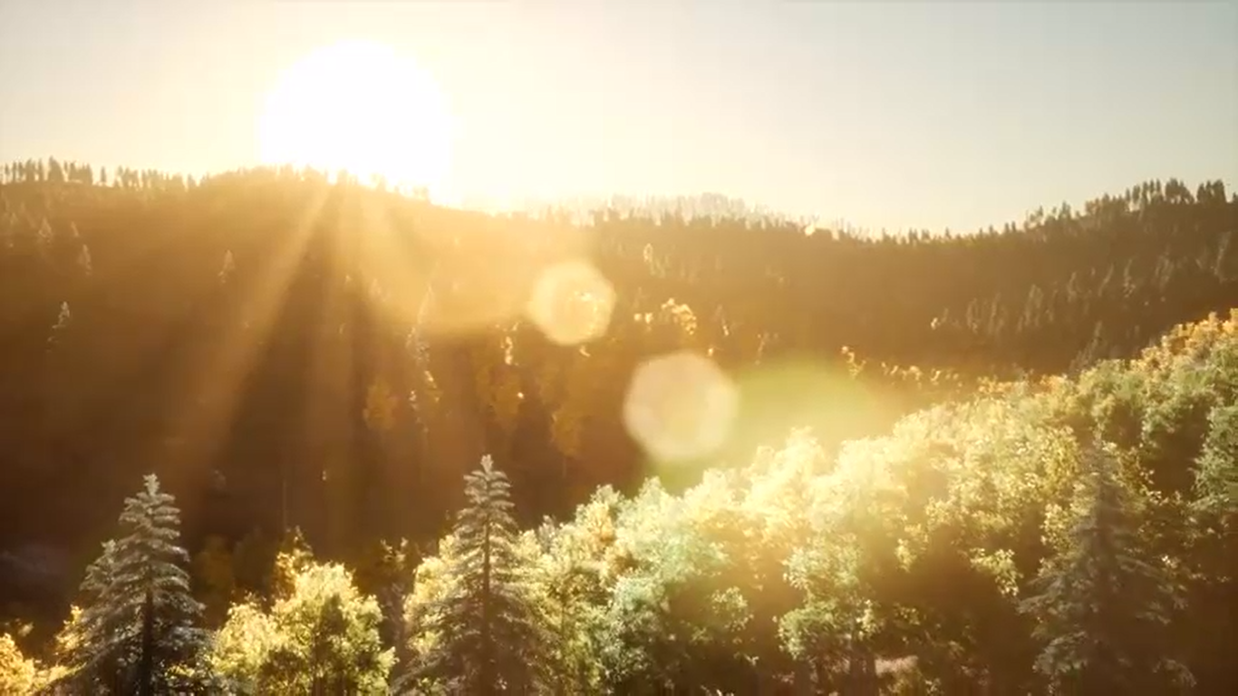 Example of Sunshine