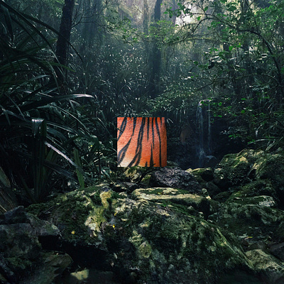 ANIMINIMAL / Tiger animal art colors design graphic graphic design illustration jungle minimal orange roar stripes tiger