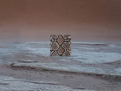 ANIMINIMAL / Snake animal art colors desert design graphic graphic design illustration minimal nature reptile snake terra