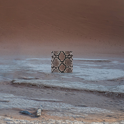ANIMINIMAL / Snake animal art colors desert design graphic graphic design illustration minimal nature reptile snake terra