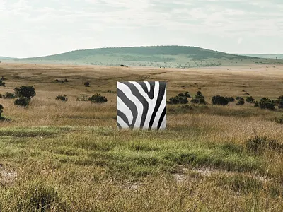 ANIMINIMAL / Zebra animal art black colors design graphic graphic design illustration minimal nature savanna stripes white zebra