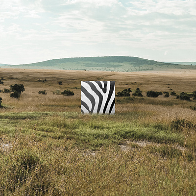 ANIMINIMAL / Zebra animal art black colors design graphic graphic design illustration minimal nature savanna stripes white zebra