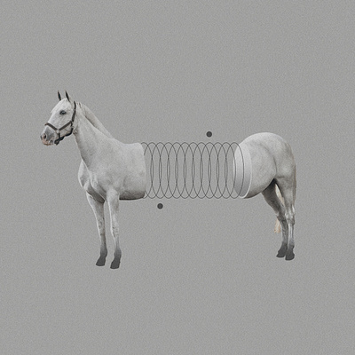 EQUINOX art design equinox graphic graphic design grey horse illustration planets surrealism white