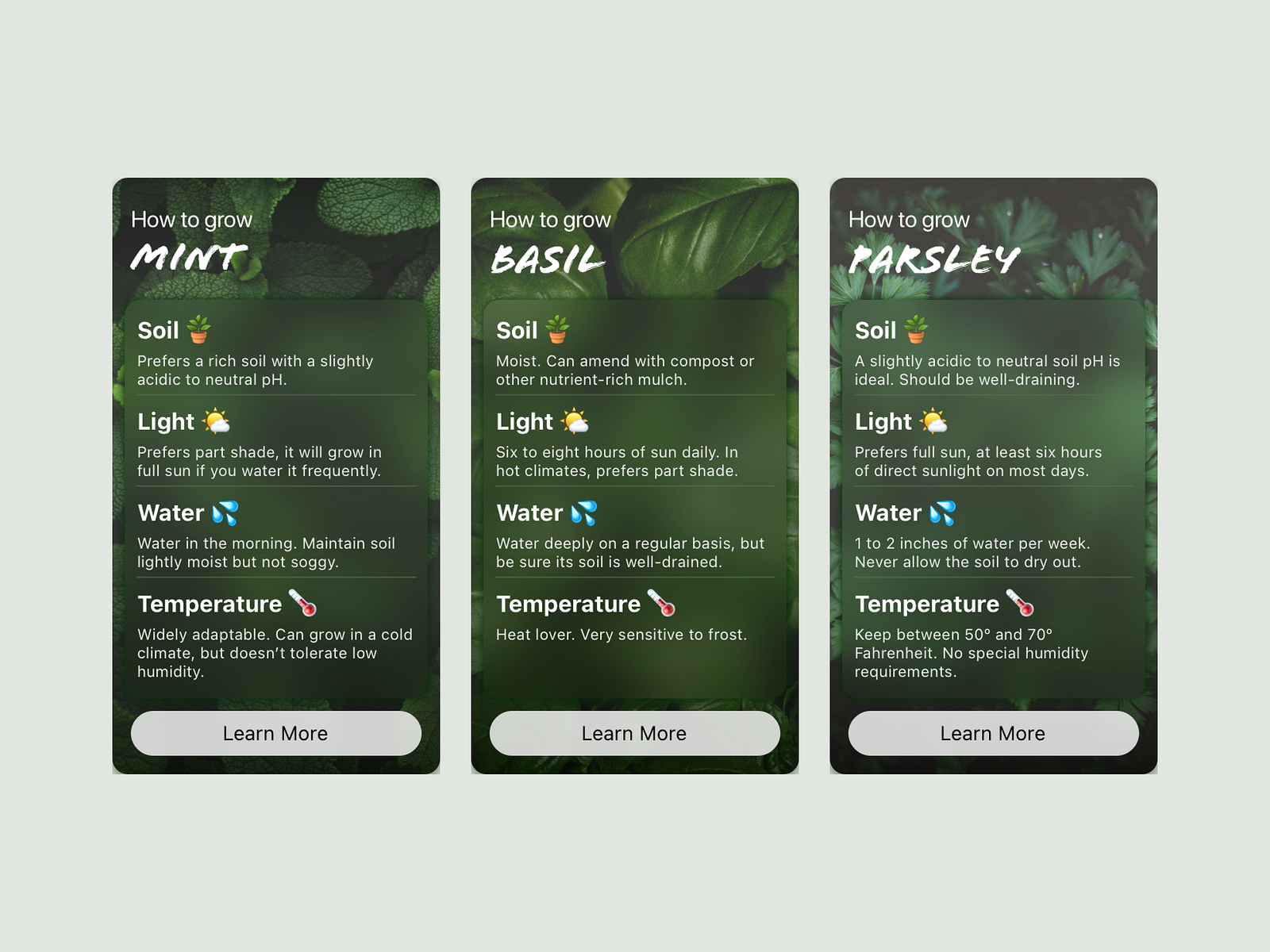 Daily UI 045 - Info Card by Olena 🇺🇦 on Dribbble