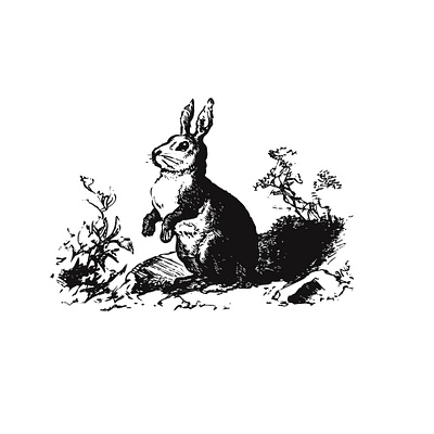 Daring illustrator