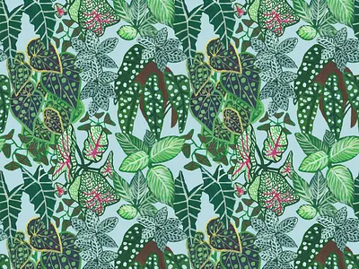 Begonia pattern pale blue begonia botanical design illustration jungle leaf leaves pattern plant plants rainforest seamless surface