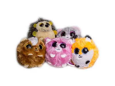 Product Photography & PDP Design