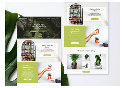 Conceptual Design Online Plant Shop adobexd branding dailyui design ecommerce graphic design inspiration interface landing landingpage online shopping online store overlay page plant product shop ui webdesign website