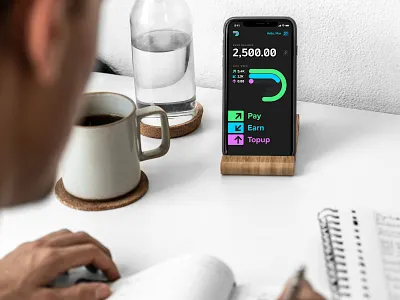 Paymeter FinTech App concept financial interface mobile ui