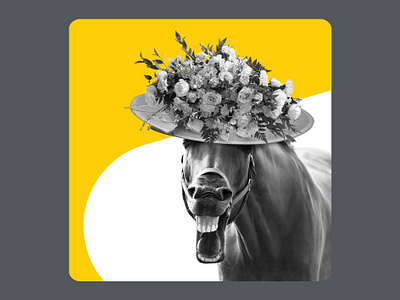 Tally Royal Ascot social post ascot creative currency digital digital bank flowers fun funny gold hat horse horse racing money savings social media social post tally yellow