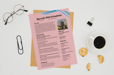 Resume Design cv design design fiverr graphic design illustration resume design