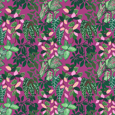 Krimson queen pattern botanical design digital illustration floral illustration jungle leaf leaves nature pattern plant plants rainforest seamless surface