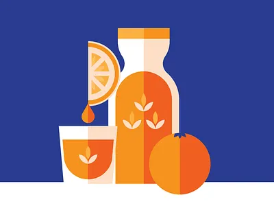 Orange Studies flat fruit juice oranges study vector