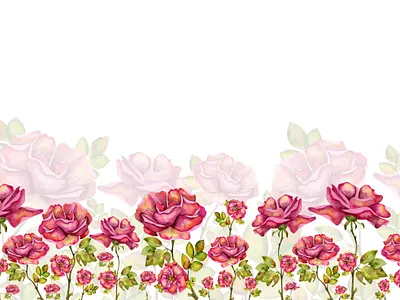 Watercolor coupon. Tea rose, rose hips. decorative design illustration red scarlet rose hip sticker the rose watercolor