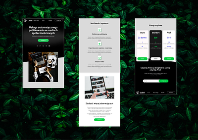 AlonaSydorchuk app appdesign design graphic design mobilleapp startup ui