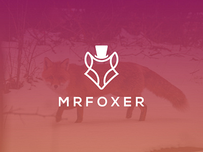 MRFOXER branding business logo design creative logo design design flat logo flat logo design fox logo design graphic design logo logo maker minimalist logo modern logo design simple logo design ui unique lgoo vector