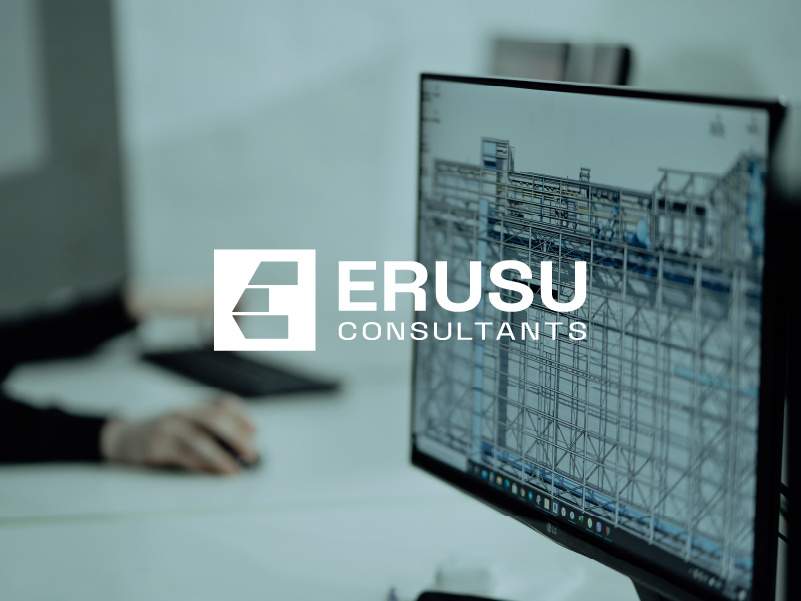 Example of Visual Identity Design