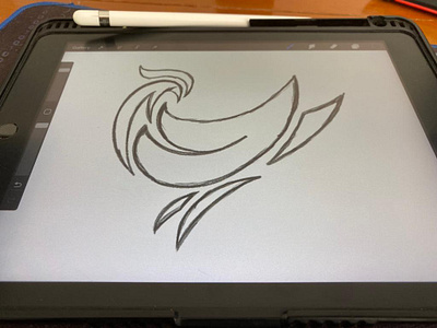Bird logo sketch animals animation apparel birds branding company design esport graphic design icon illustration initials logo mascot modern simple sketch sports symbol ui
