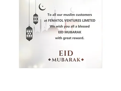 FEMATOL VENTURES LIMITED