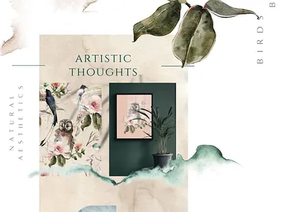 Magnolia blooming collection design dr graphic design illustration