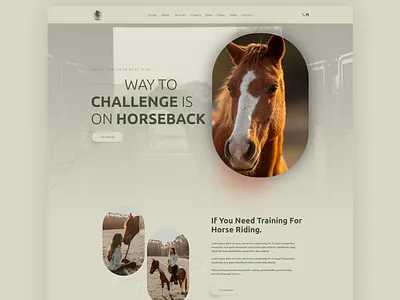Horse Riding Club Website Design branding design graphic design horse illustration landing page logo minimal typography ui ux vector web web design webdesign website