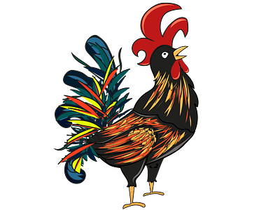 Rooster animation chicken design illustration illustrator rooster