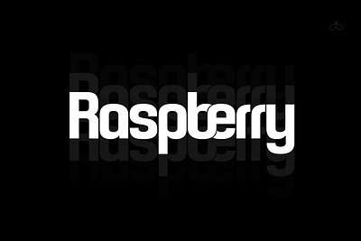 Raspberry Sturdy Typeface branding creative typeface game font headline font logo modern font new font poster design raspberry trending font typeface