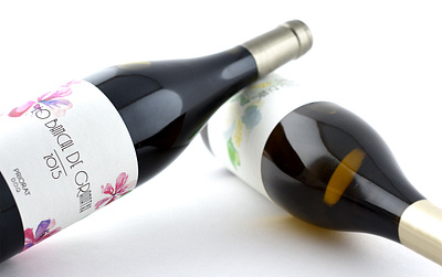 Lo Coster Blanc y Lo Bancal de Garnatxa Wines design graphic design illustration packaging