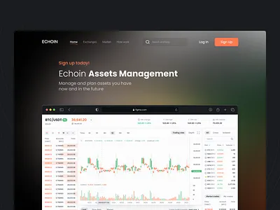 Echo Assets Management assets black colorful concept crypto cryptocurrencies dark echo echo design echodesign echoin exchange gradient landing orange portfolio assets rebound ui design web design website