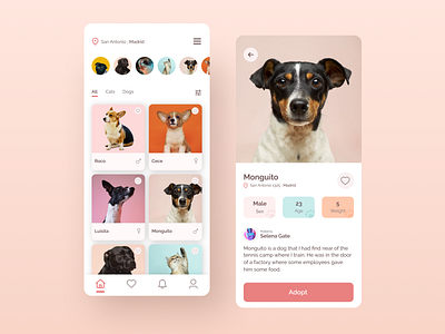 Pet Adoption Mobile App adoption app app app design clean mobile mobile app mobile design pet adoption app pet app pets ui ux