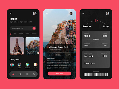 TravelBuddy - Your Perfect Travel Partner graphic design ui