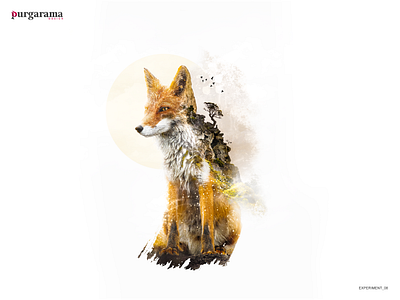 Fox Wanderer photomanipulation design graphic design photomanipulation poster