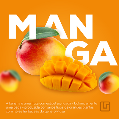 Mango🥭 app branding design icon illustration logo typography ui ux