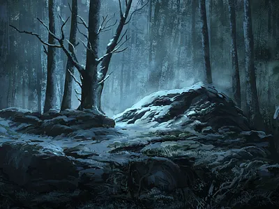 Winter Woods environment forest landscape snow winter woods