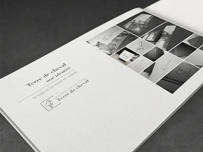 Terre de Cheval 3d mockups black and white booklet equitation france graphic design horses logo top of the range upmarket