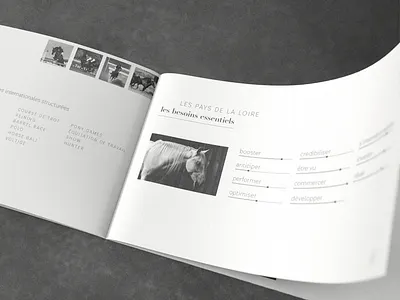 Terre de cheval 3d mockup black and white booklet equitation france graphic design horses logo top of the range upmarket